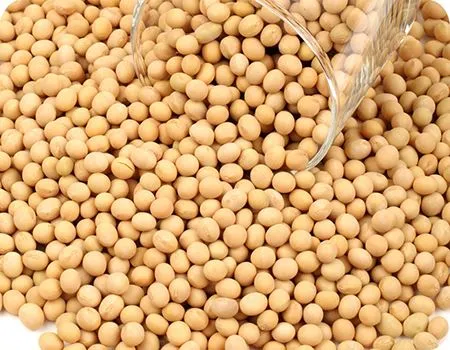 plant stanol ester supplements