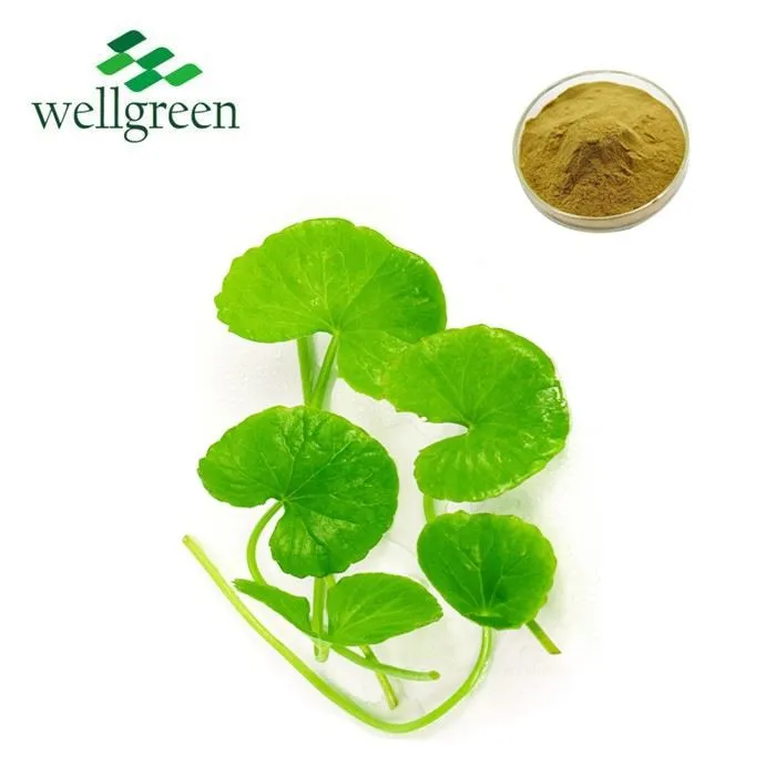 Centella Asiatica Extract Powder