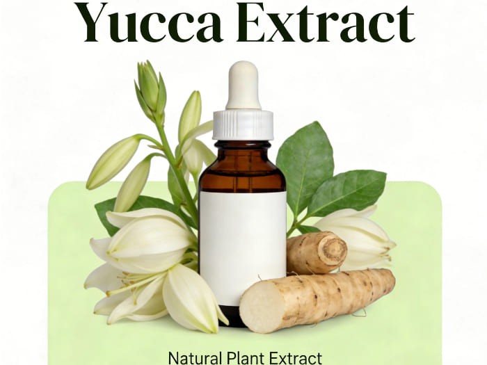 yucca extract yucca extract