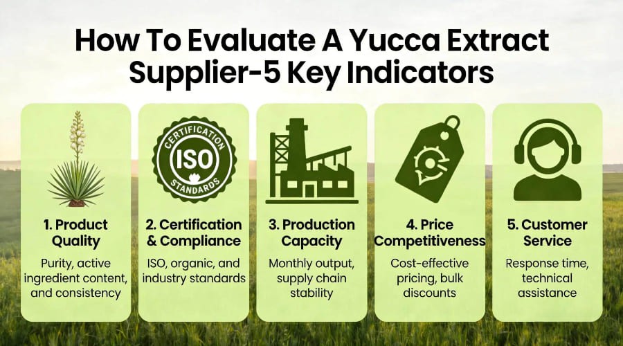 How To Evaluate A Yucca Extract Supplier-5 Key Indicators How To Evaluate A Yucca Extract Supplier-5 Key Indicators