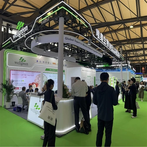 CPHI 中国でのライブ: Wellgreen がブース E4B32 での先進的な配信をハイライト