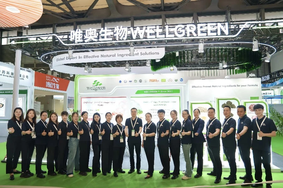 Wellgreen Team